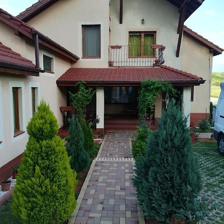 Casa Doina Apartamento Băile Felix Exterior foto